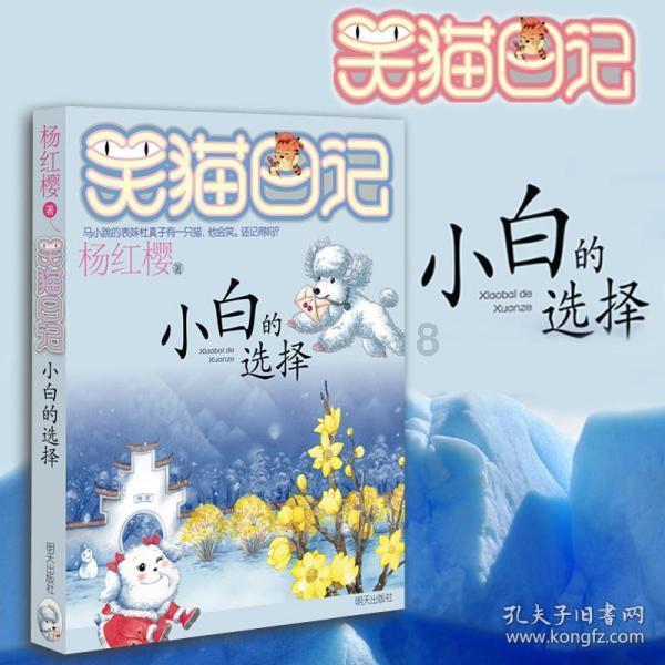 自由小迷宫